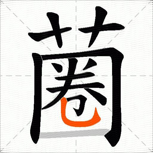 蔨
