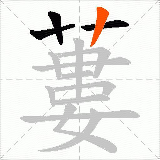 蔞