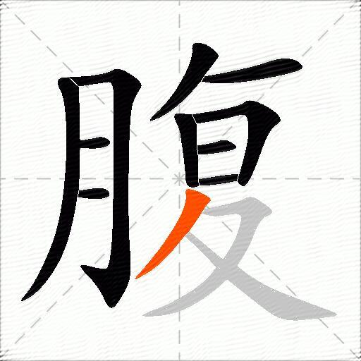 腹