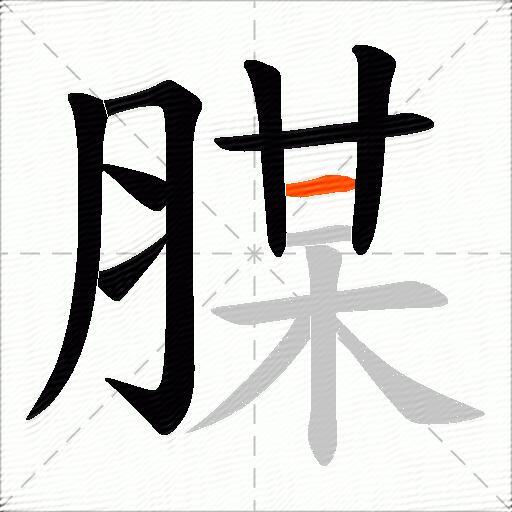 腜