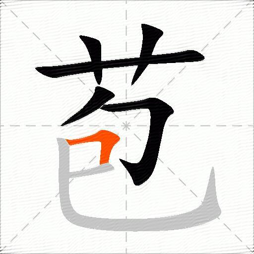 苞