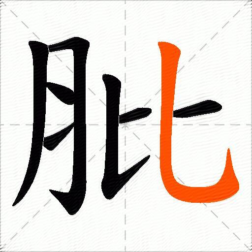 肶
