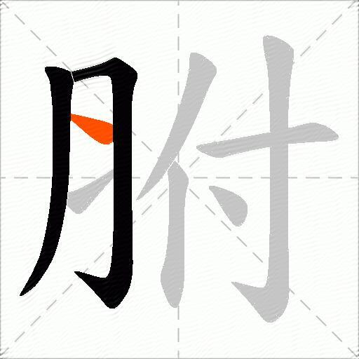胕