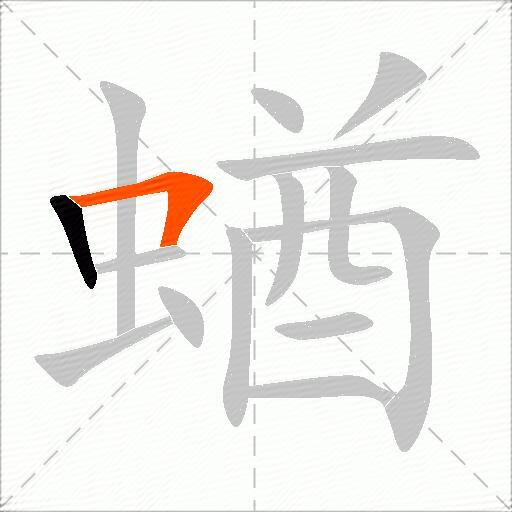 蝤