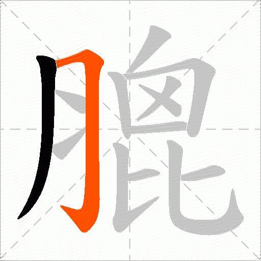 膍