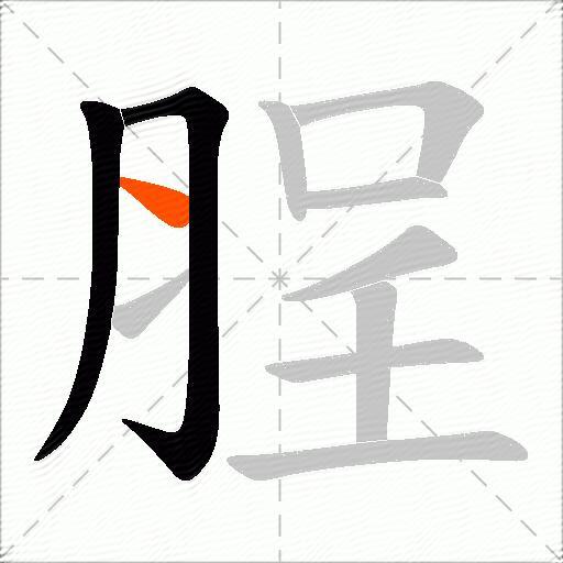 脭