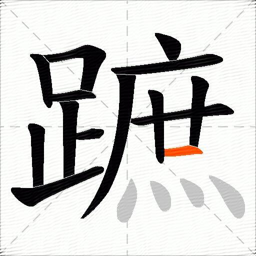 蹠