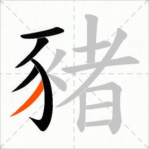 豬