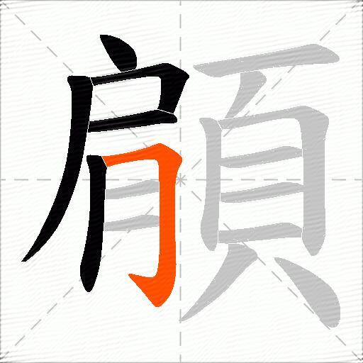 顅