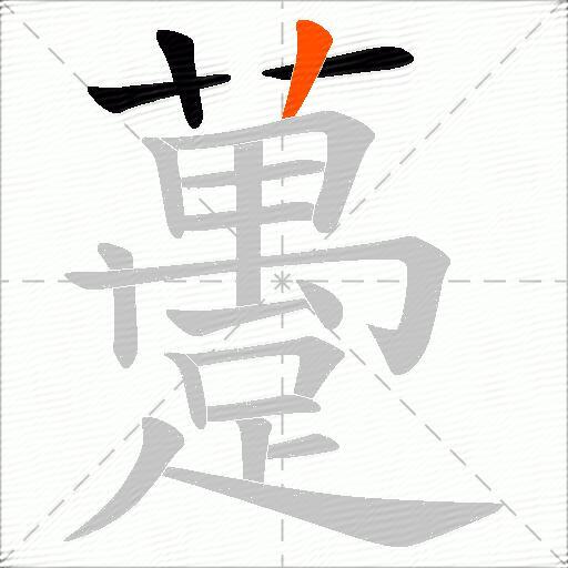 躉