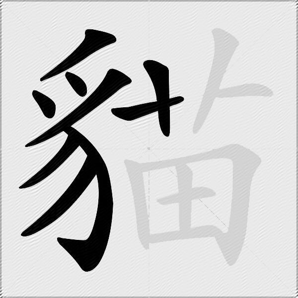 貓