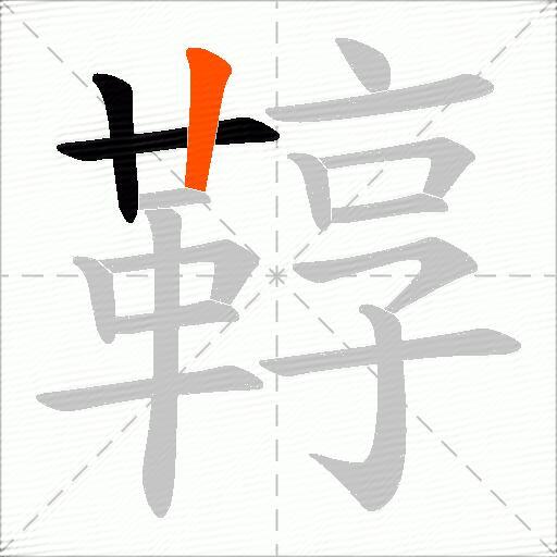 鞟