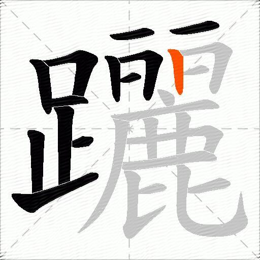 躧