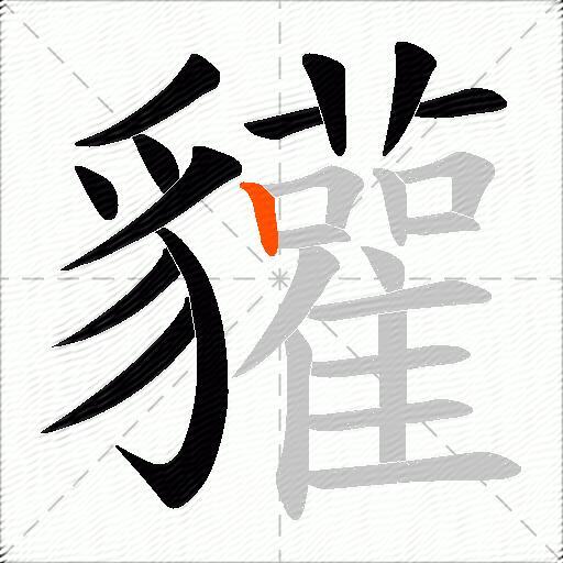 貛