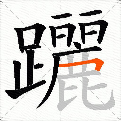 躧