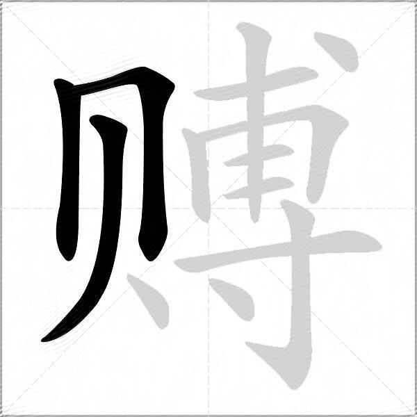 赙