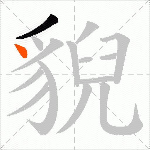 貎