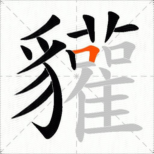 貛
