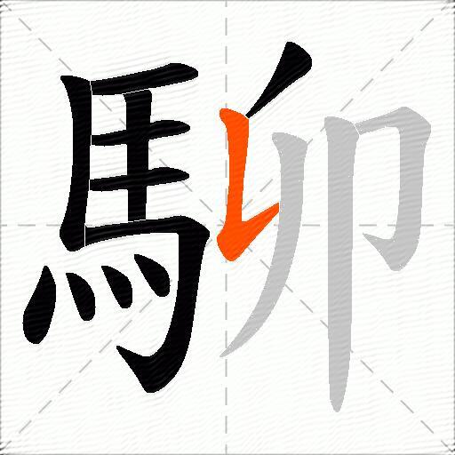 駠