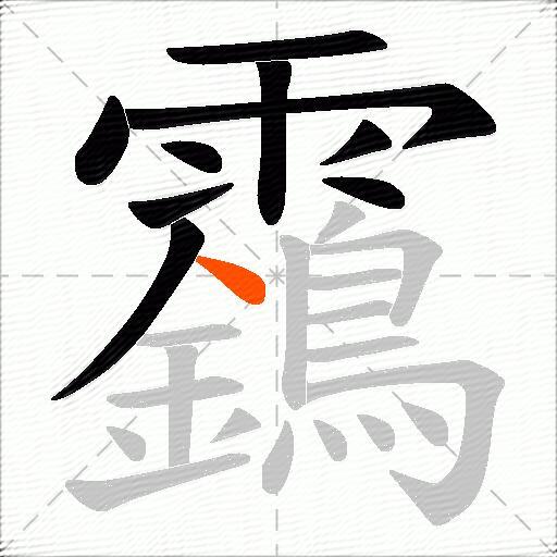 靎