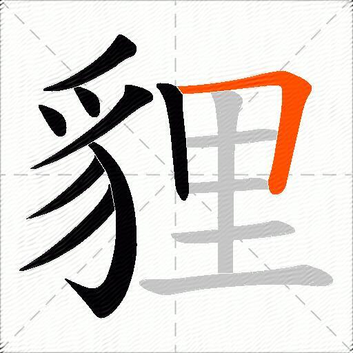 貍