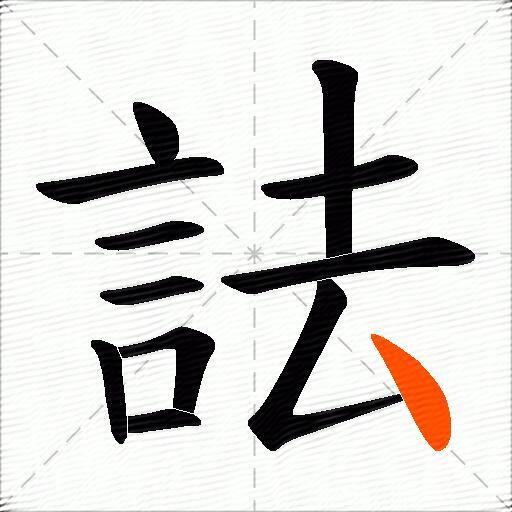 詓