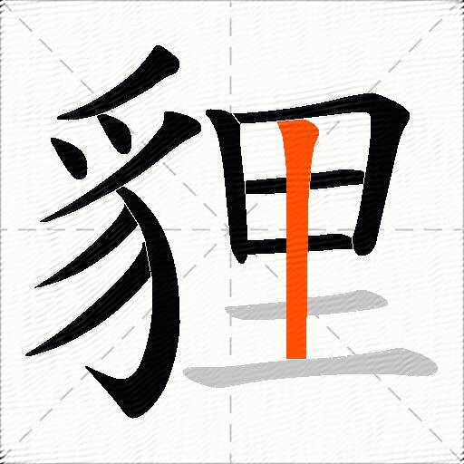 貍