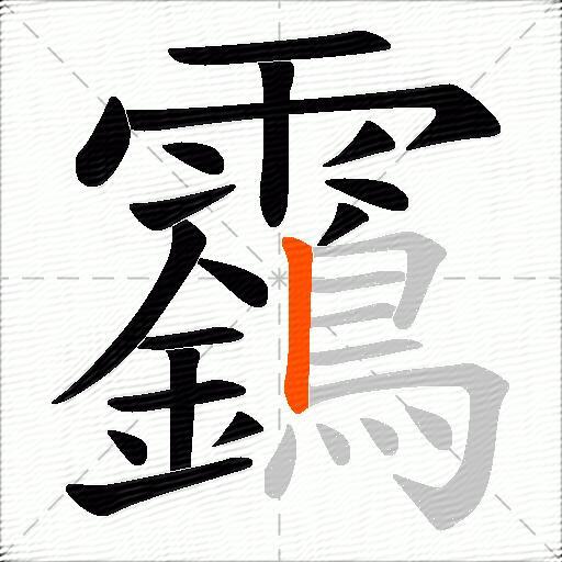 靎