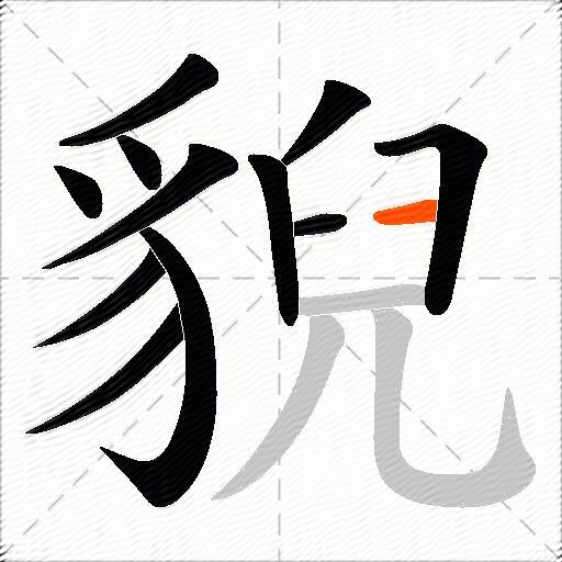 貎