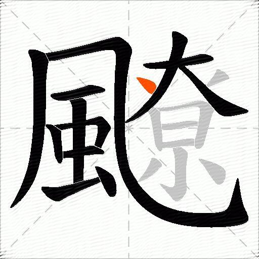 飉