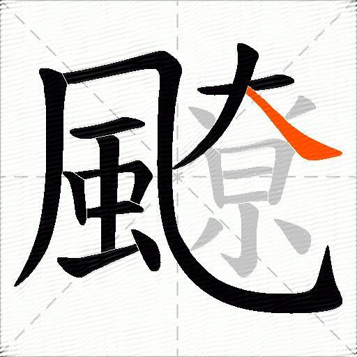 飉