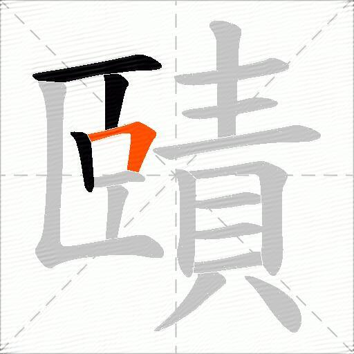 賾