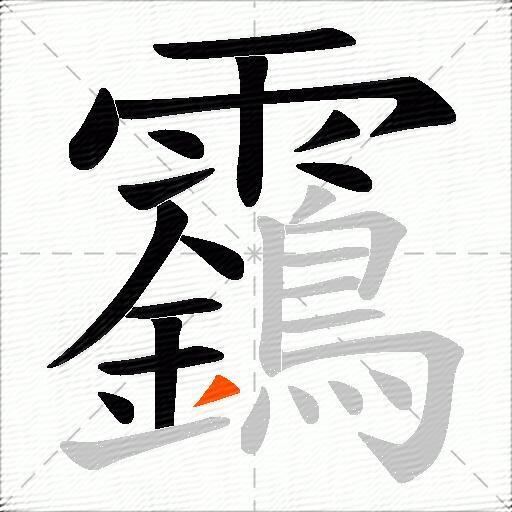 靎