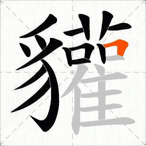 貛