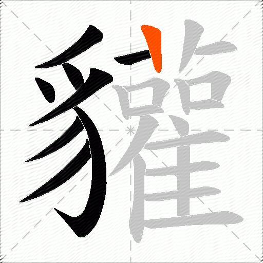 貛