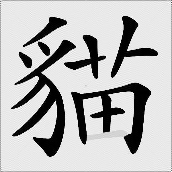 貓