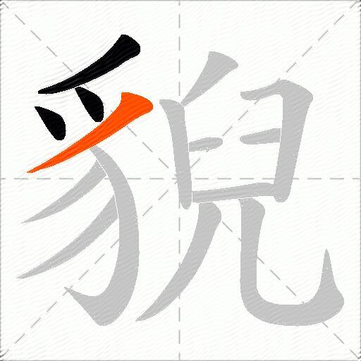 貎