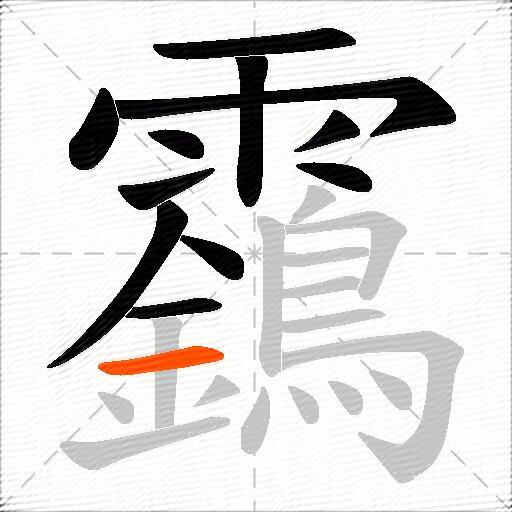 靎