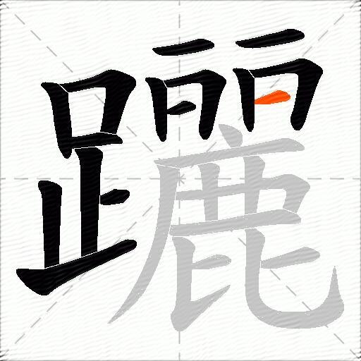 躧