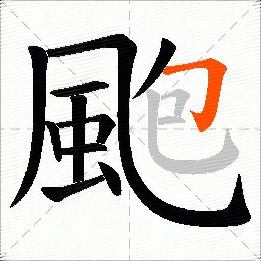 颮