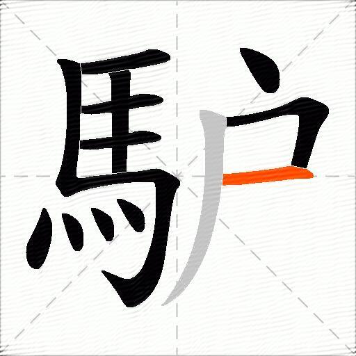 馿