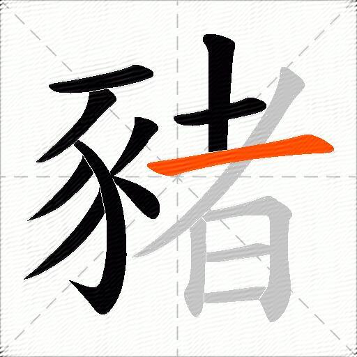 豬