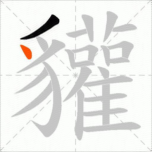 貛