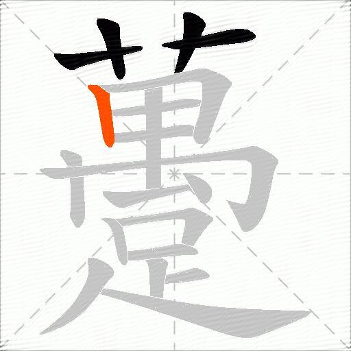 躉