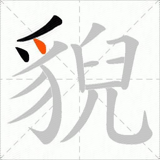 貎