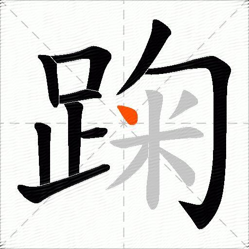 踘