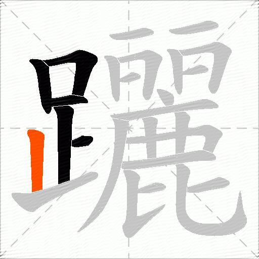 躧
