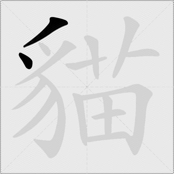 貓
