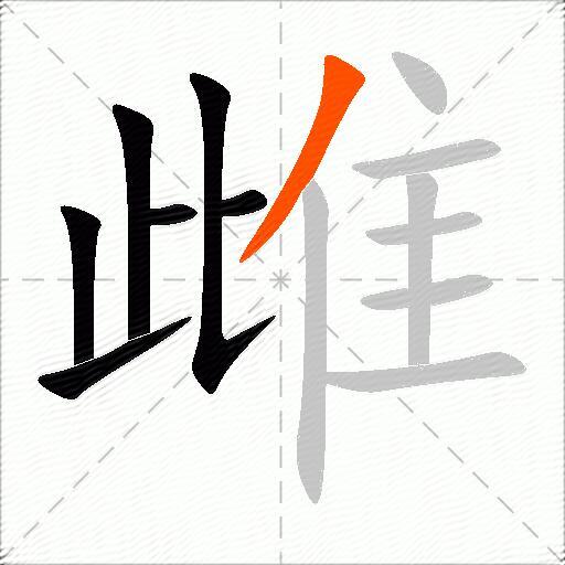雌