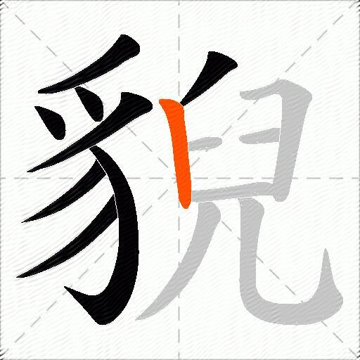 貎